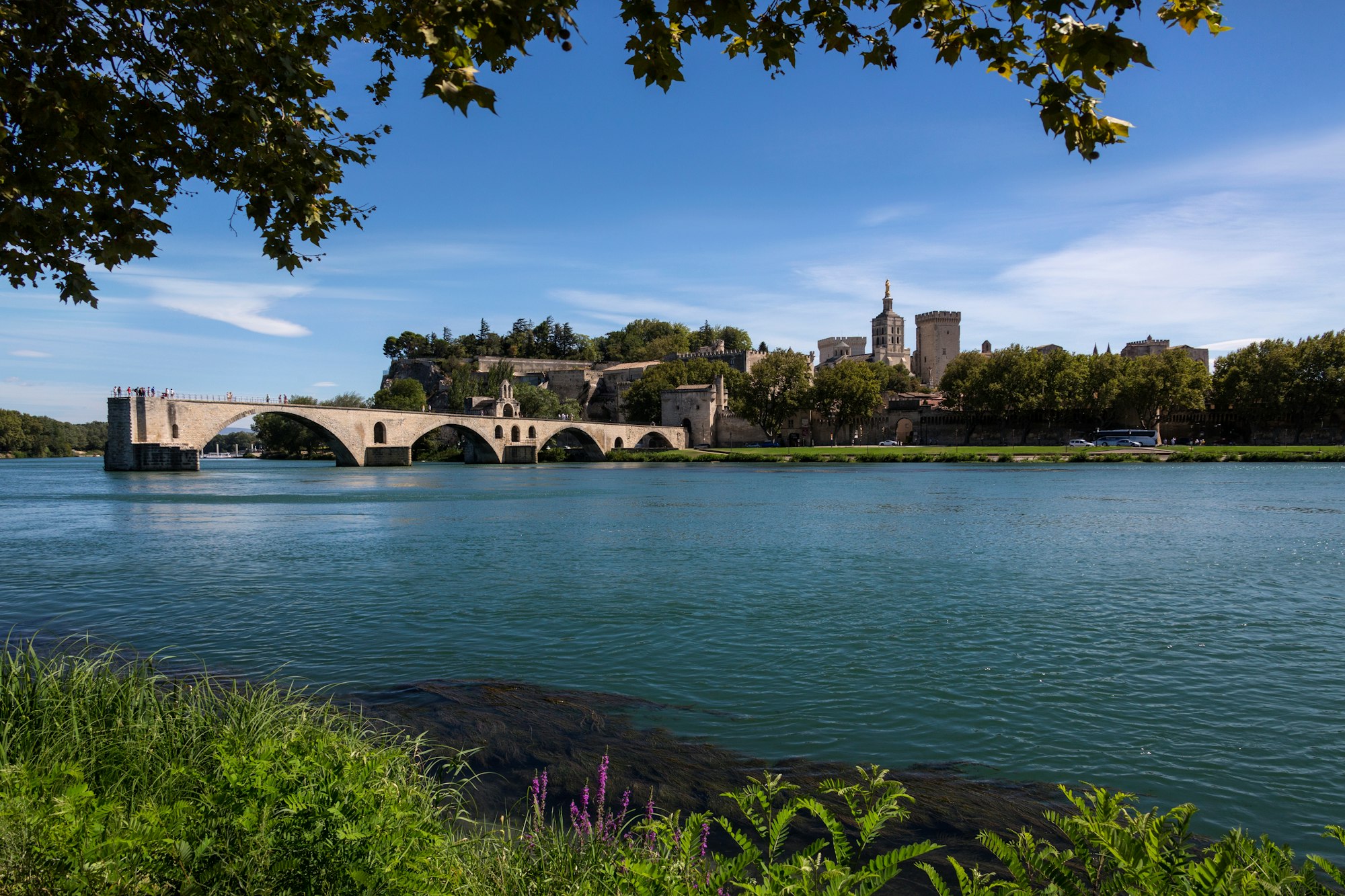 Avignon - France