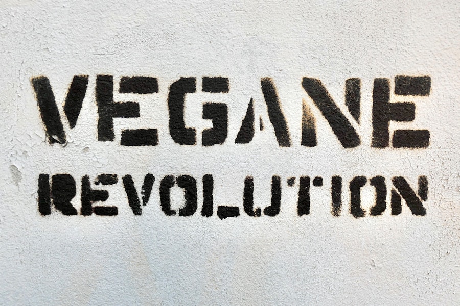 Photo Graphique évolution